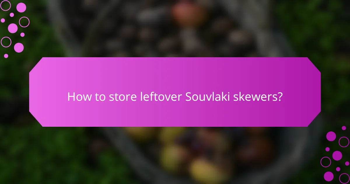 How to store leftover Souvlaki skewers?